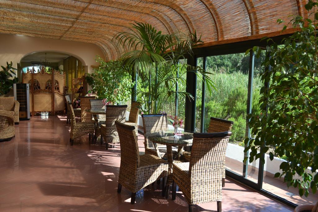 Hotel Maremonti Forio (Isola d'Ischia) Exterior foto